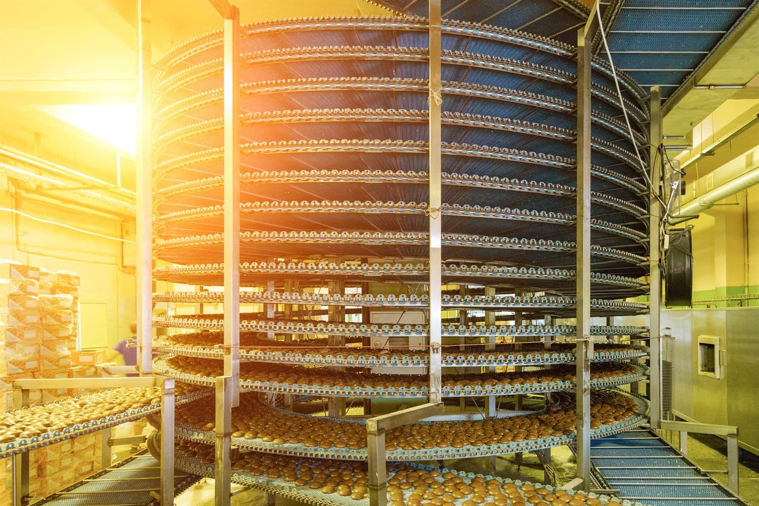 Spiral bakery conveyor line inside a production area